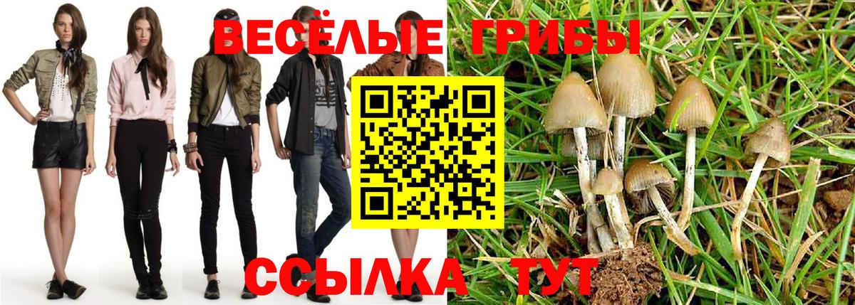 Псилоцибиновые грибы Psilocybine cubensis Кириши