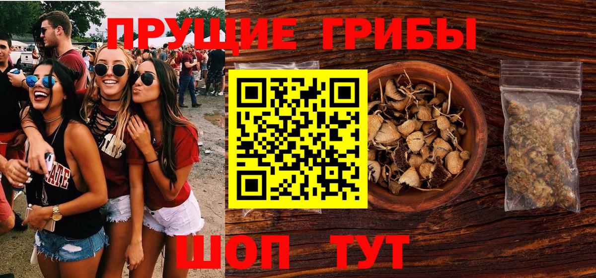 Кириши  Галлюциногенные грибы MAGIC MUSHROOMS  Вход с VPN 
